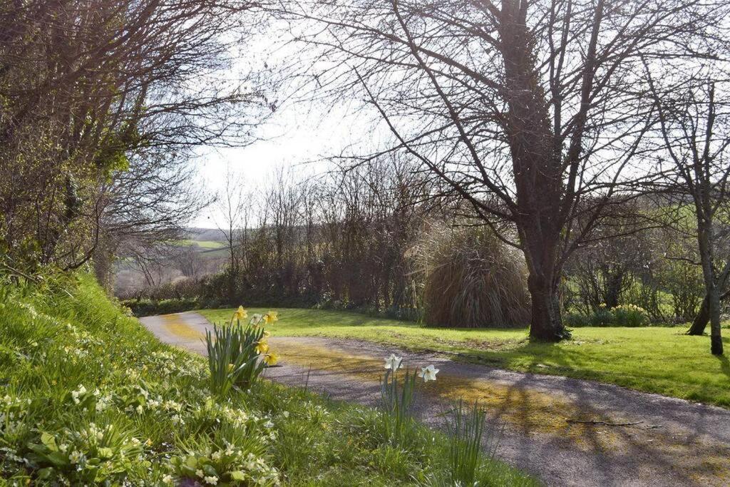 Swift Cottage Broadhempston Buitenkant foto