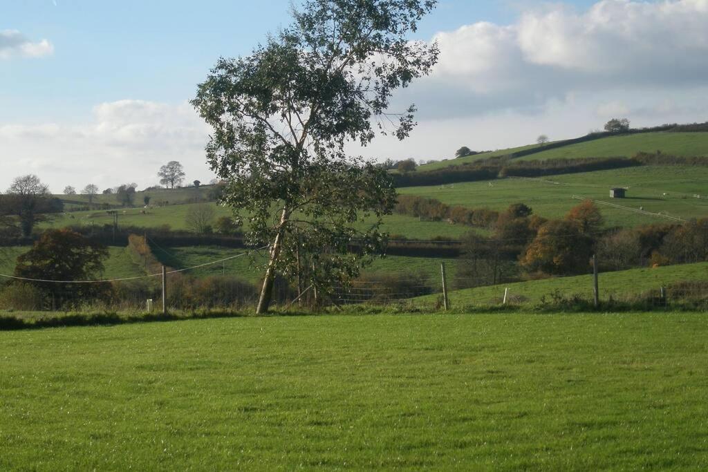 Swift Cottage Broadhempston Buitenkant foto